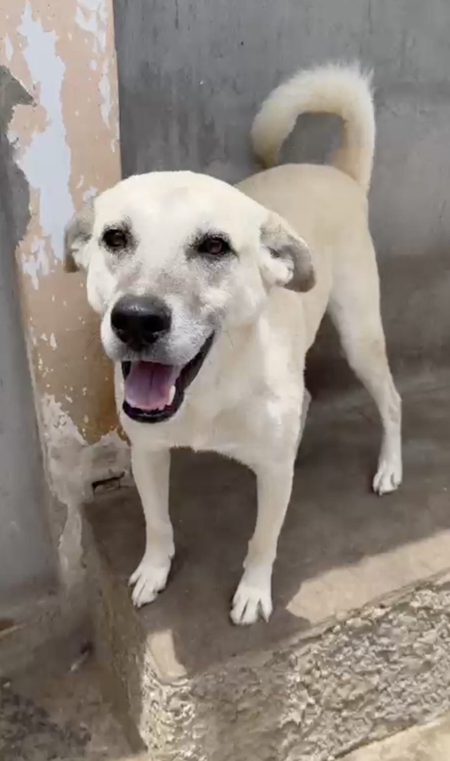 Una sonrisa que dice todo