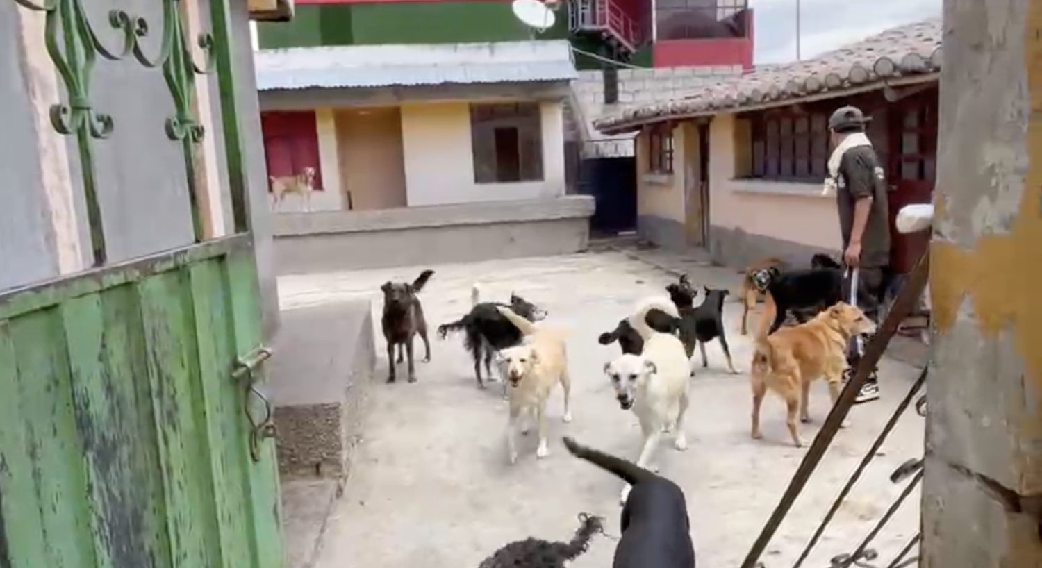 Todos juntos en el patio