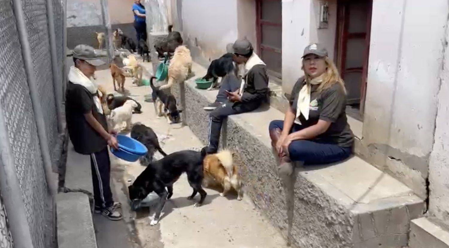 Tiempo de descanso y compañía